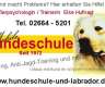 Mobile Hundeschule, auch...